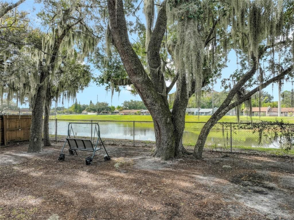 2716 Curry Woods Drive Orlando FL 32822 O6367094 image32