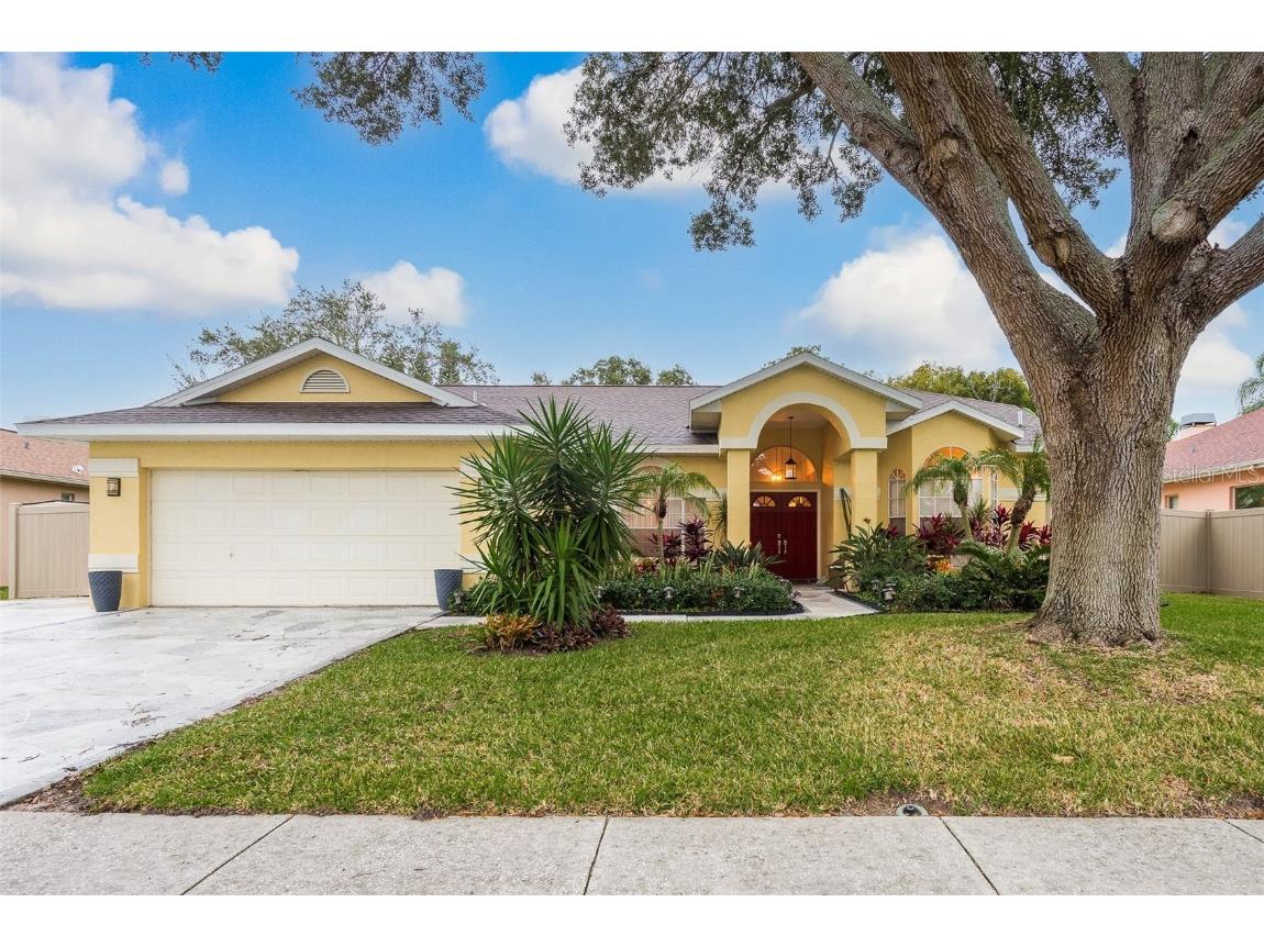 2716 Jarvis Circle Palm Harbor FL 34683 U8229122 image1