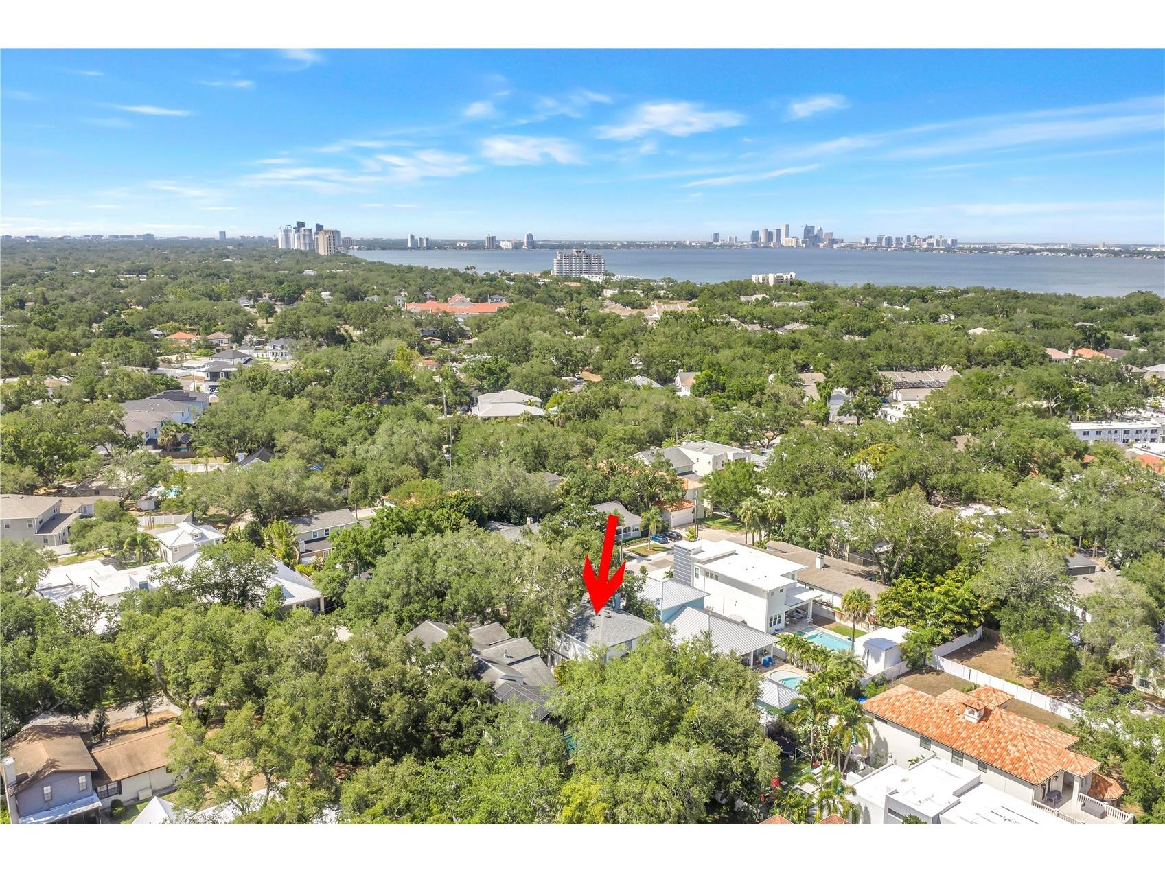 2716 W Thornton Avenue Tampa FL 33611 TB8513565 image52