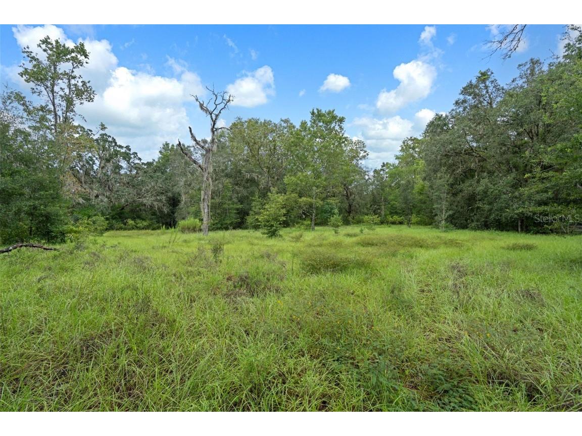 27167 Popiel Road Brooksville FL 34602 W7878522 image42