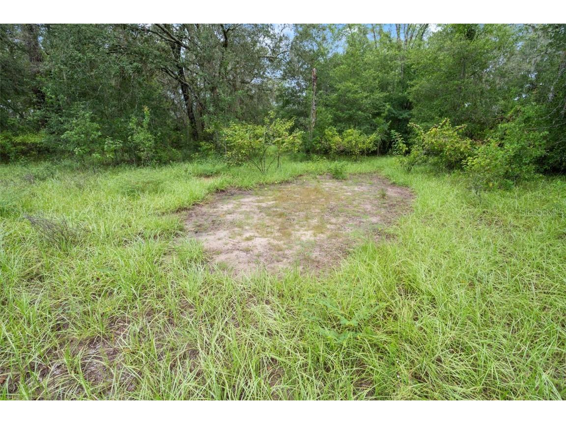 27167 Popiel Road Brooksville FL 34602 W7878522 image44