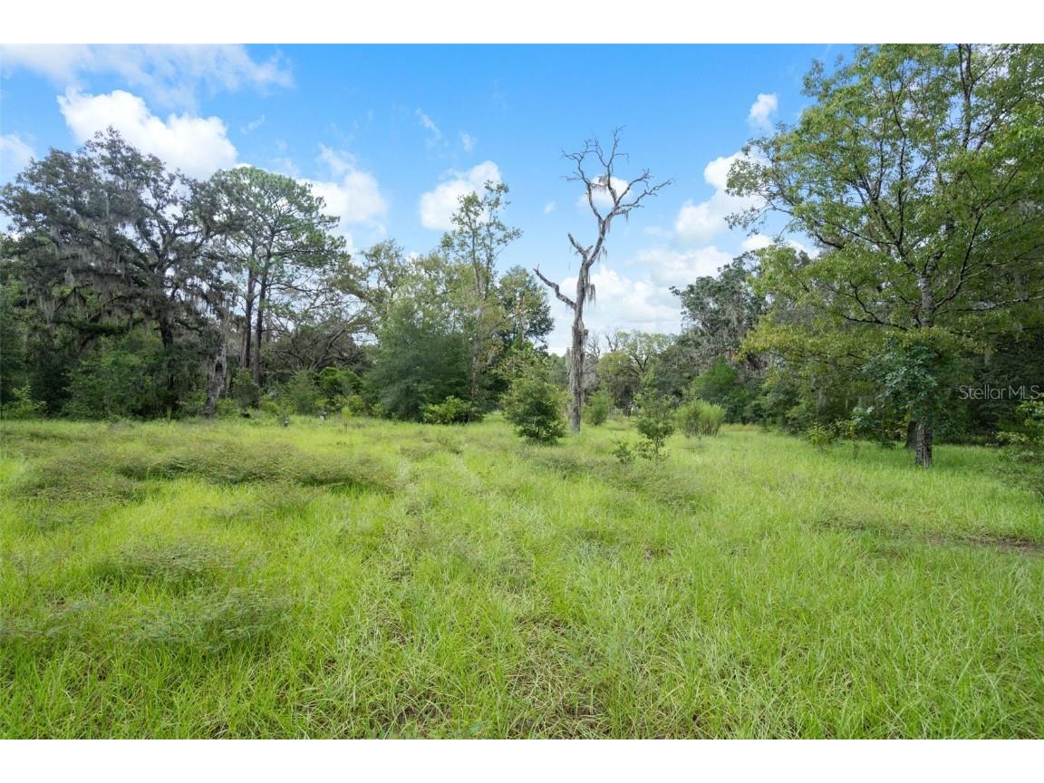 27167 Popiel Road Brooksville FL 34602 W7878522 image46