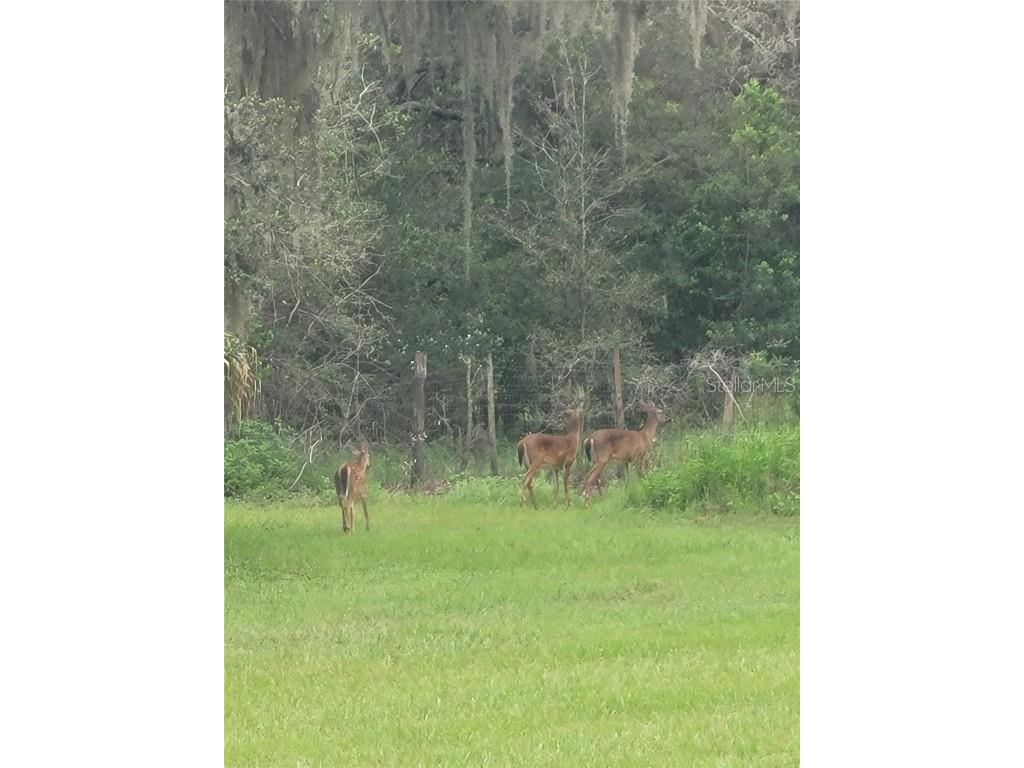 27167 Popiel Road Brooksville FL 34602 W7878522 image48