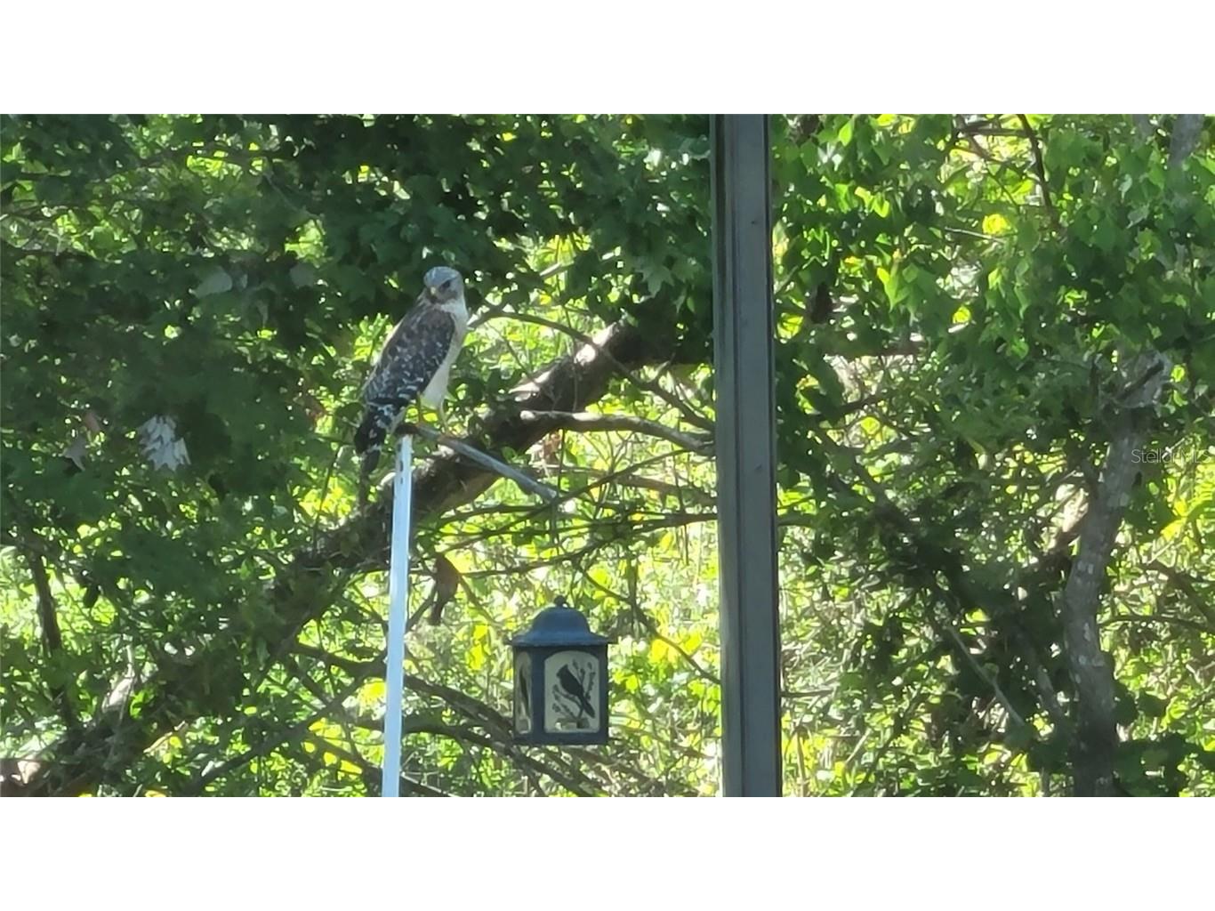 27167 Popiel Road Brooksville FL 34602 W7878522 image61