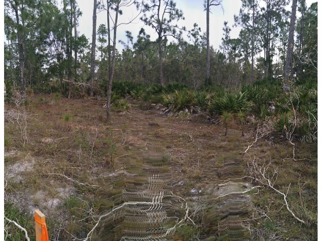 27169 Cordova Drive Punta Gorda FL 33955 C7485575 image1