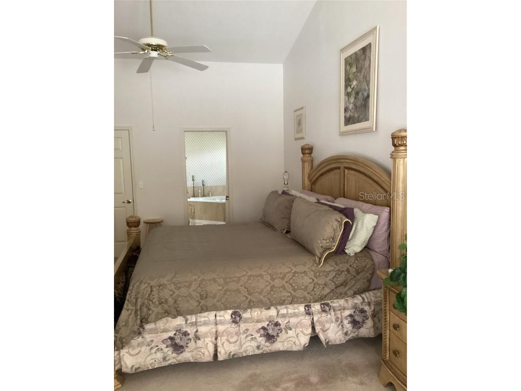 2717 Bayview Drive Eustis FL 32726 O6247060 image32