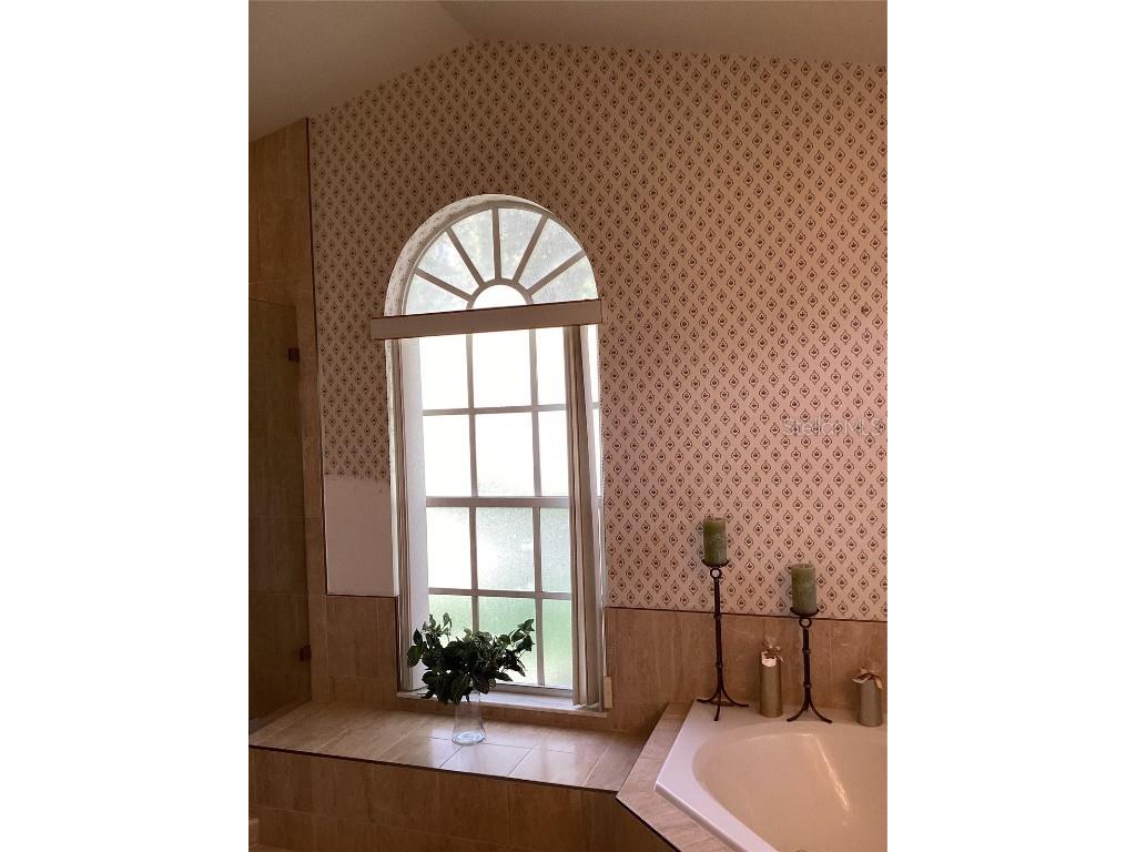 2717 Bayview Drive Eustis FL 32726 O6247060 image37