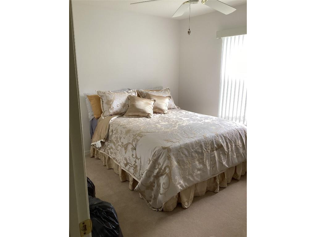 2717 Bayview Drive Eustis FL 32726 O6247060 image40