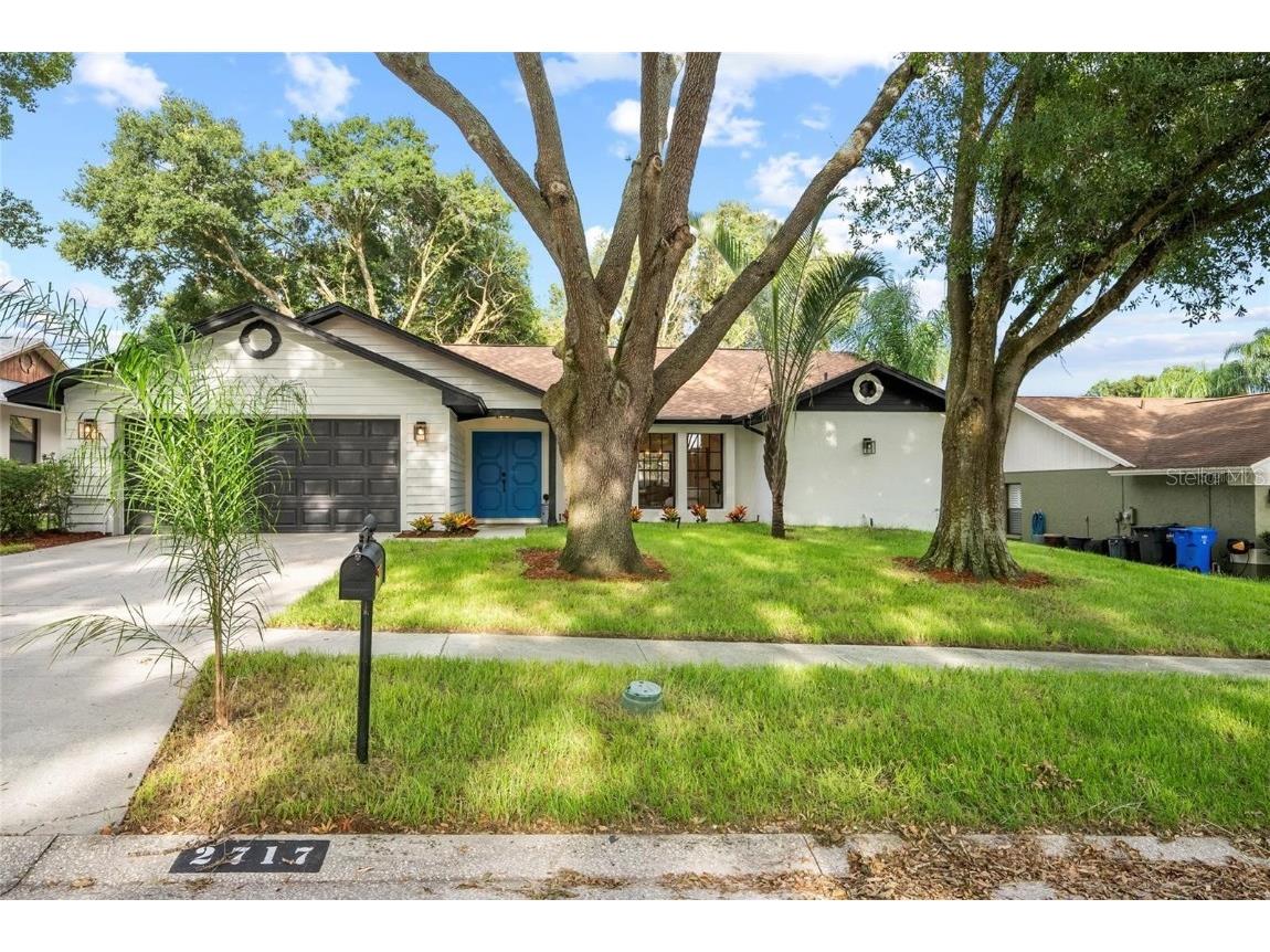 2717 Briarpatch Drive Valrico FL 33596 TB8346244 image1