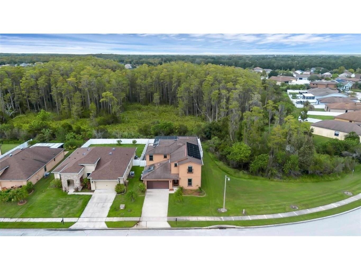 2717 Eagle Cliff Drive Kissimmee FL 34746 O6320810 image40