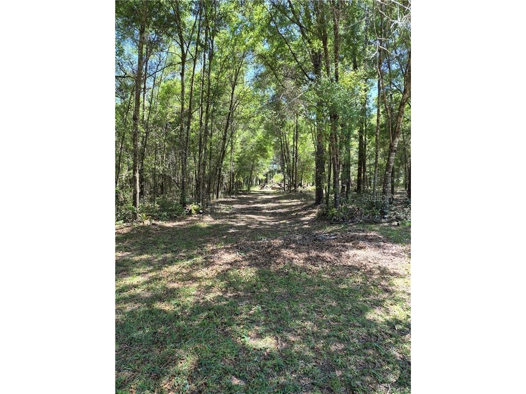 27170 Townsend Boulevard Brooksville FL 34601 OM723049 image32