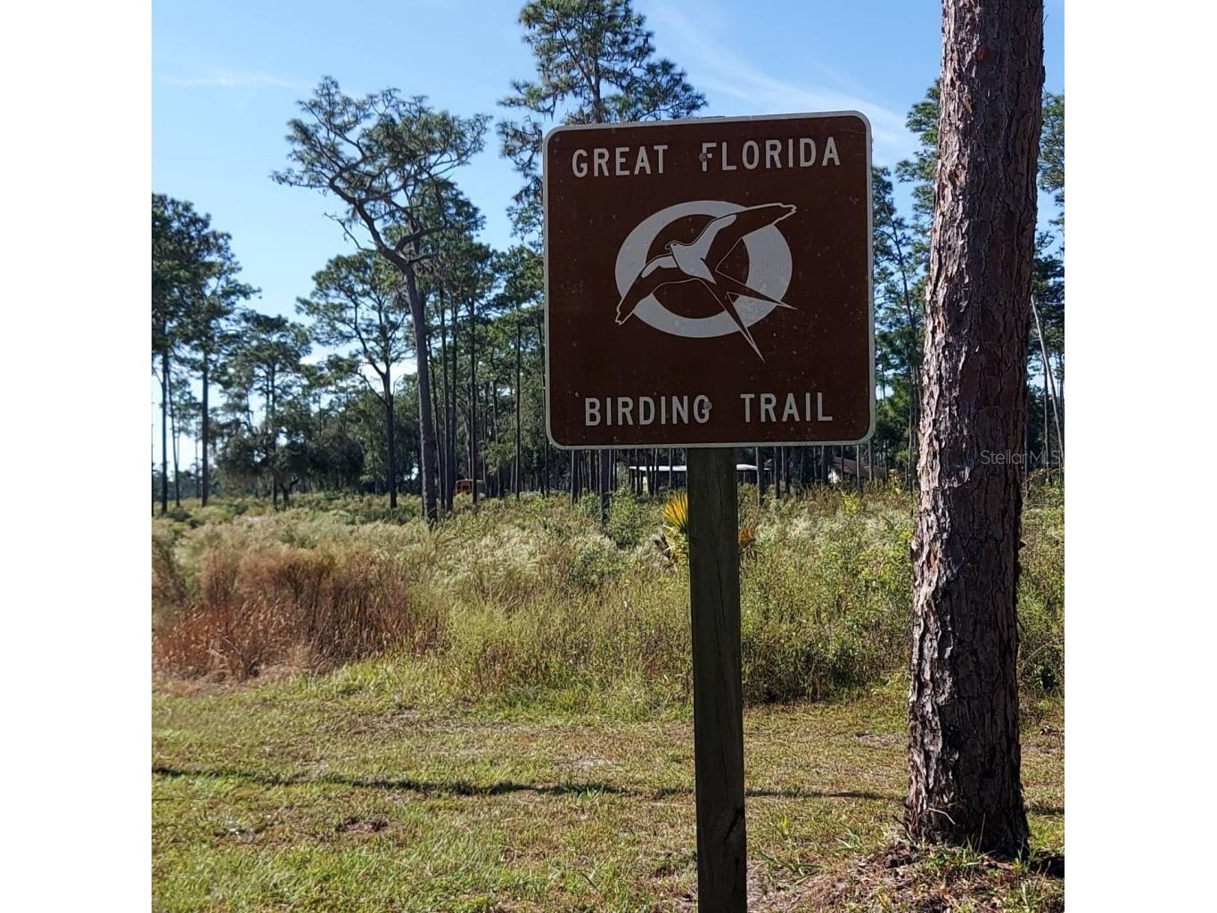 27170 Townsend Boulevard Brooksville FL 34601 OM723049 image55