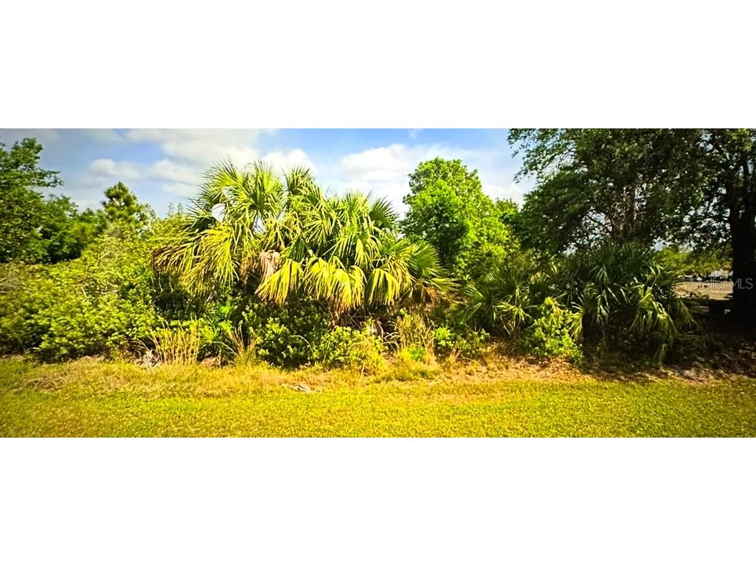 27178 Jordan Avenue Punta Gorda FL 33983 O6287147 image1