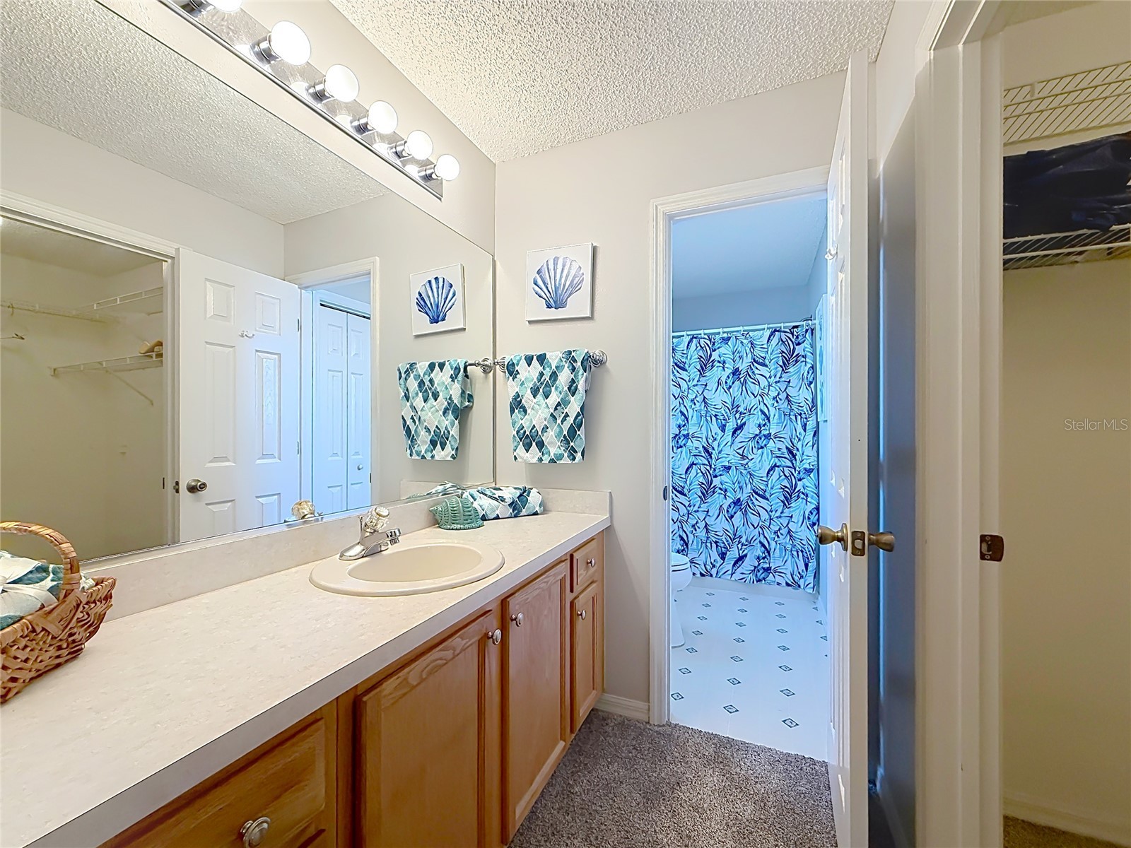2718 Benavides Drive The Villages FL 32162 G5113030 image22