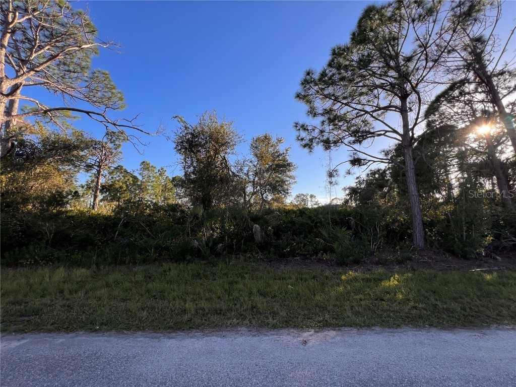 2718 Dixon Terrace Port Charlotte FL 33981 D6133918 image1