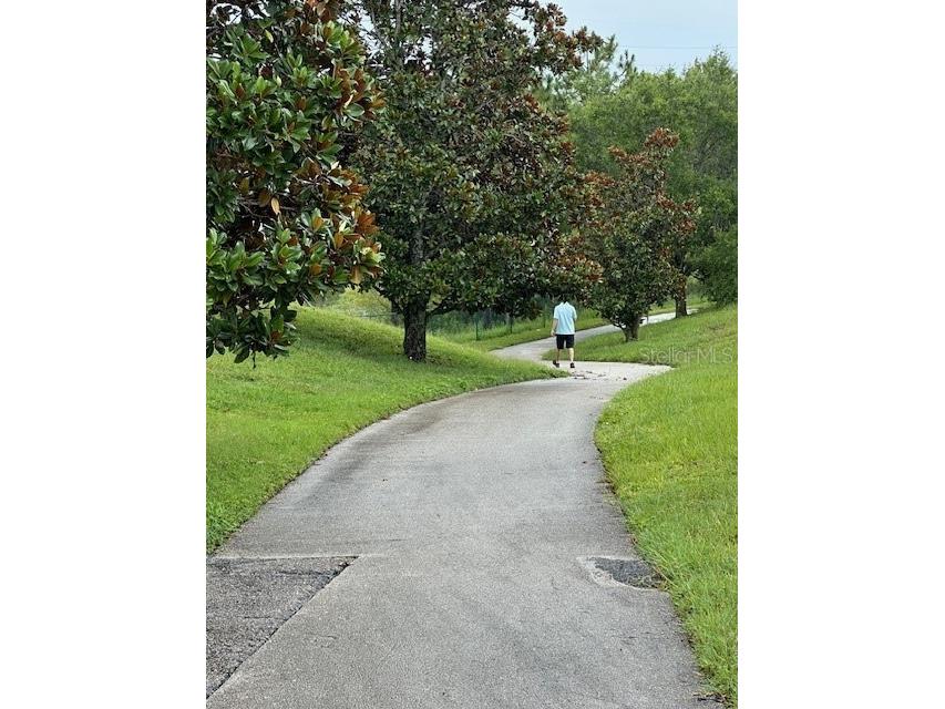 2718 Limerick Circle Grand Island FL 32735 O6322640 image35