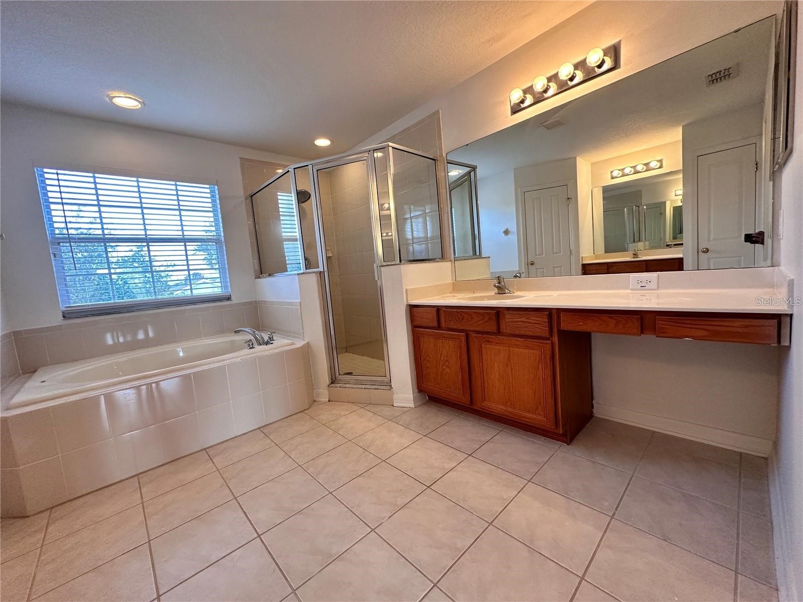 2718 Lucas Lake Lane Kissimmee FL 34744 O6401041 image18