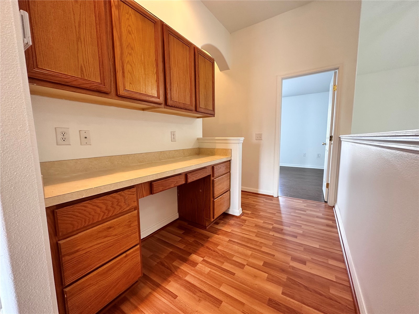 2718 Lucas Lakes Lane Kissimmee FL 34744 O6374248 image11