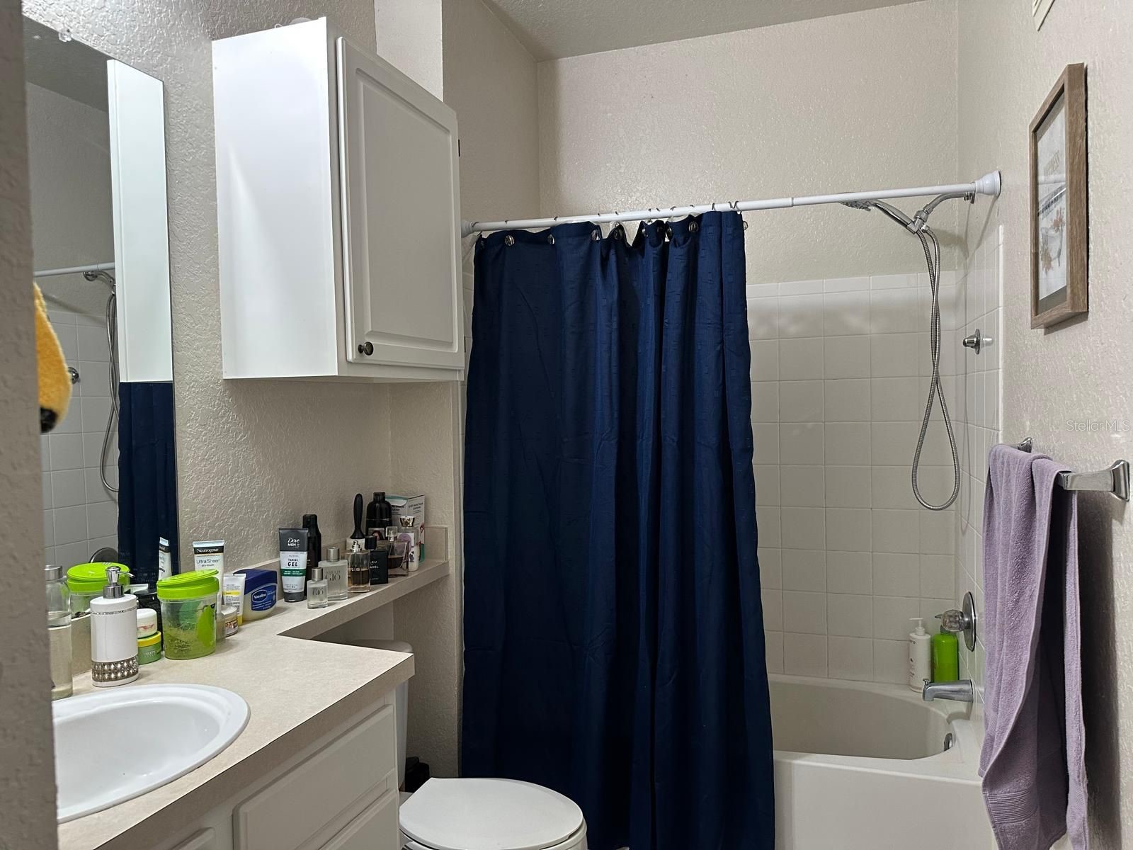 2718 Maitland Crossing Way #207 Orlando FL 32810 O6395081 image12