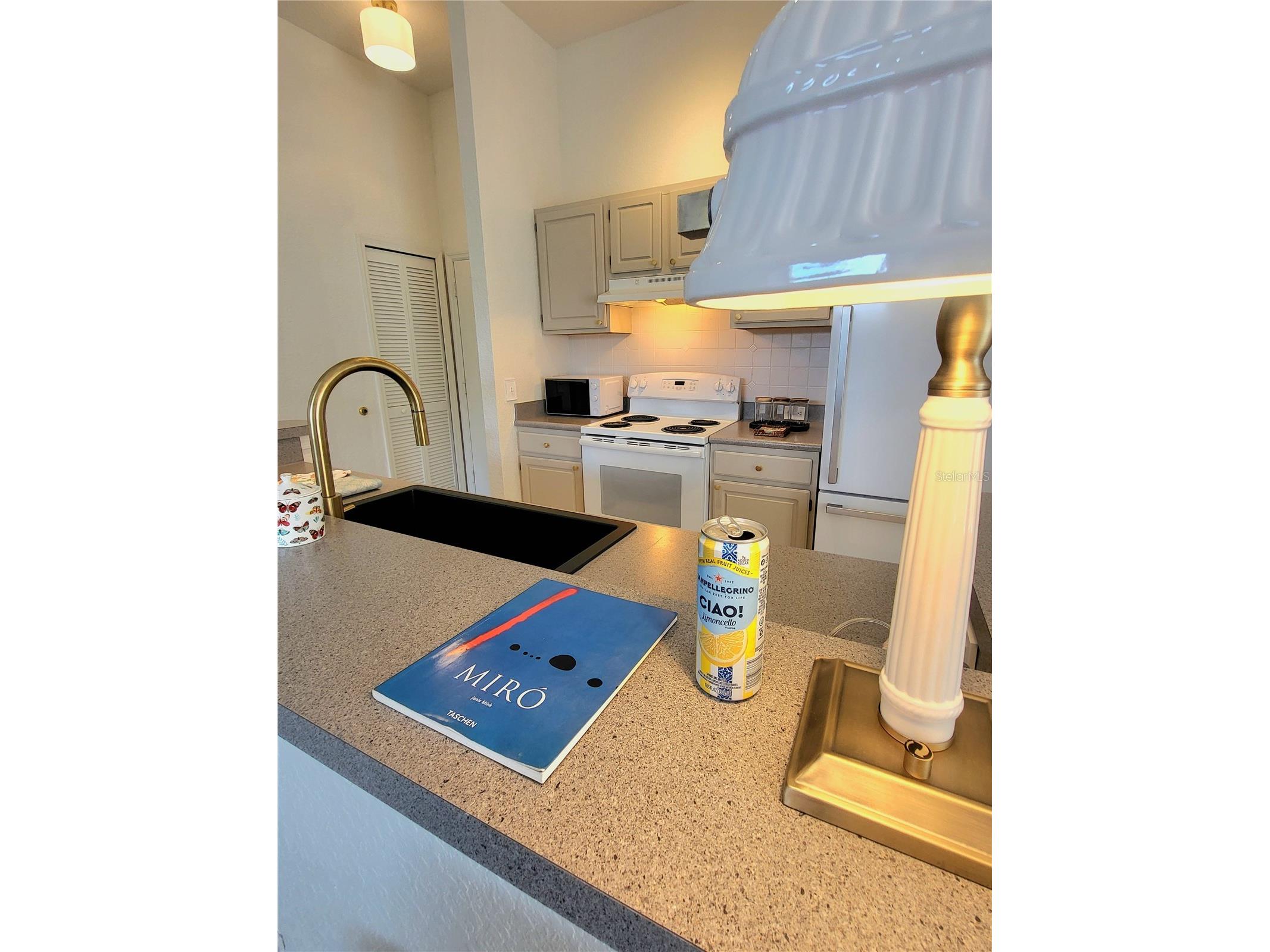 2718 Maitland Crossing Way #308 Orlando FL 32810 S5152091 image16
