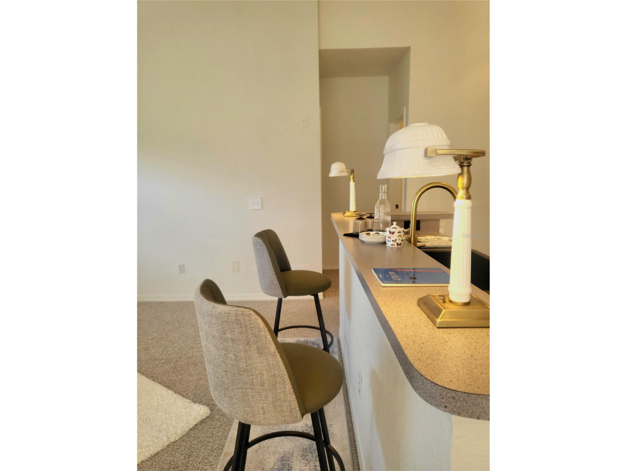2718 Maitland Crossing Way #308 Orlando FL 32810 S5152091 image21