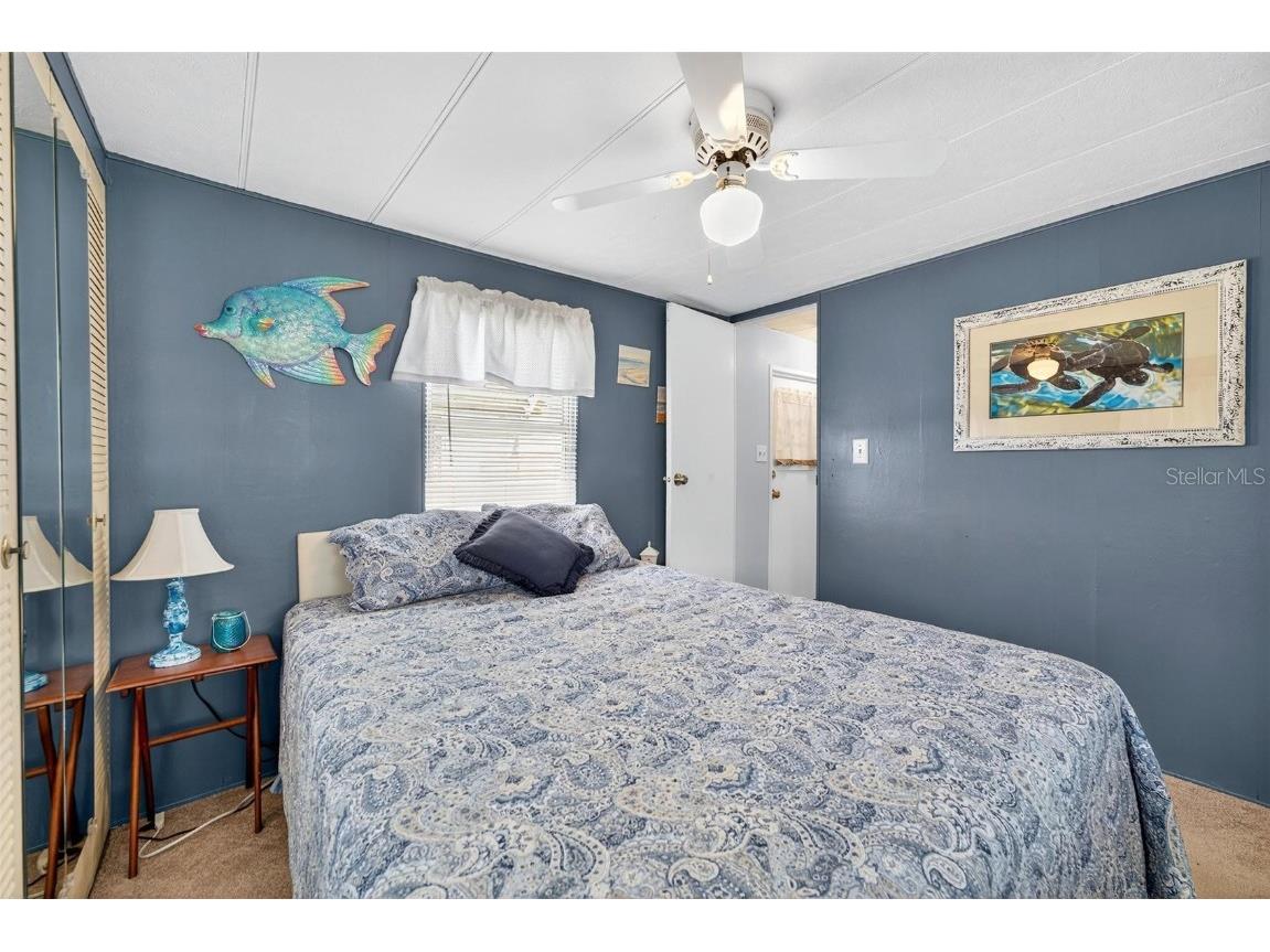 2718 Vindale Road Tavares FL 32778 G5102740 image25