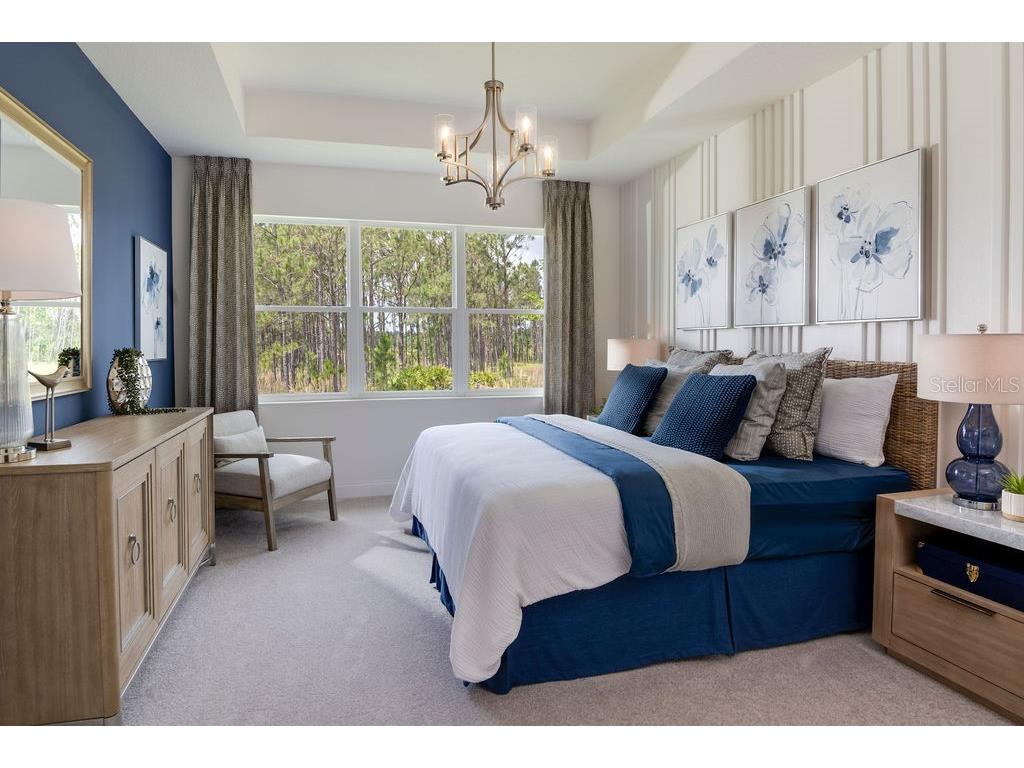 2718 Wise River Lane Zephyrhills FL 33539 O6297670 image6