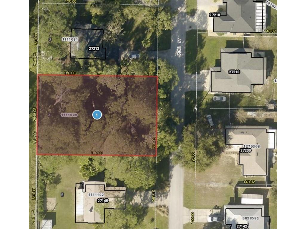 27181 Pine Street Yalaha FL 34797 - HARRIS CHAINPALATLAKAHA RIVER G5084856 image1