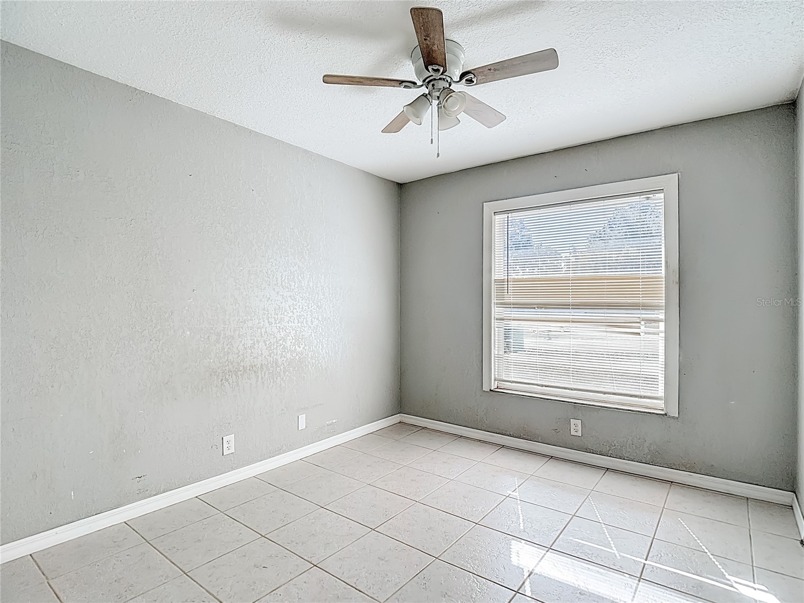 27183 Thorncrest Avenue Brooksville FL 34602 TB8470565 image28