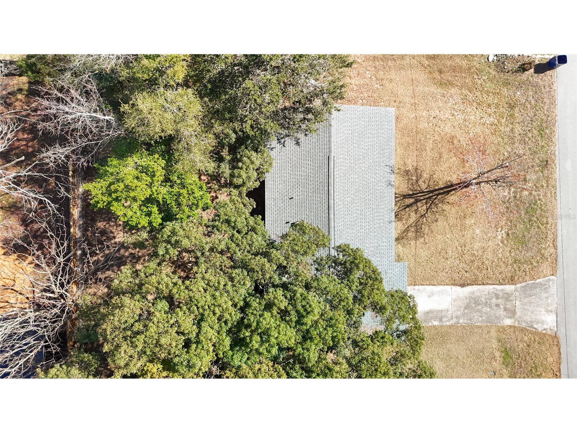 27183 Thorncrest Avenue Brooksville FL 34602 TB8470565 image45