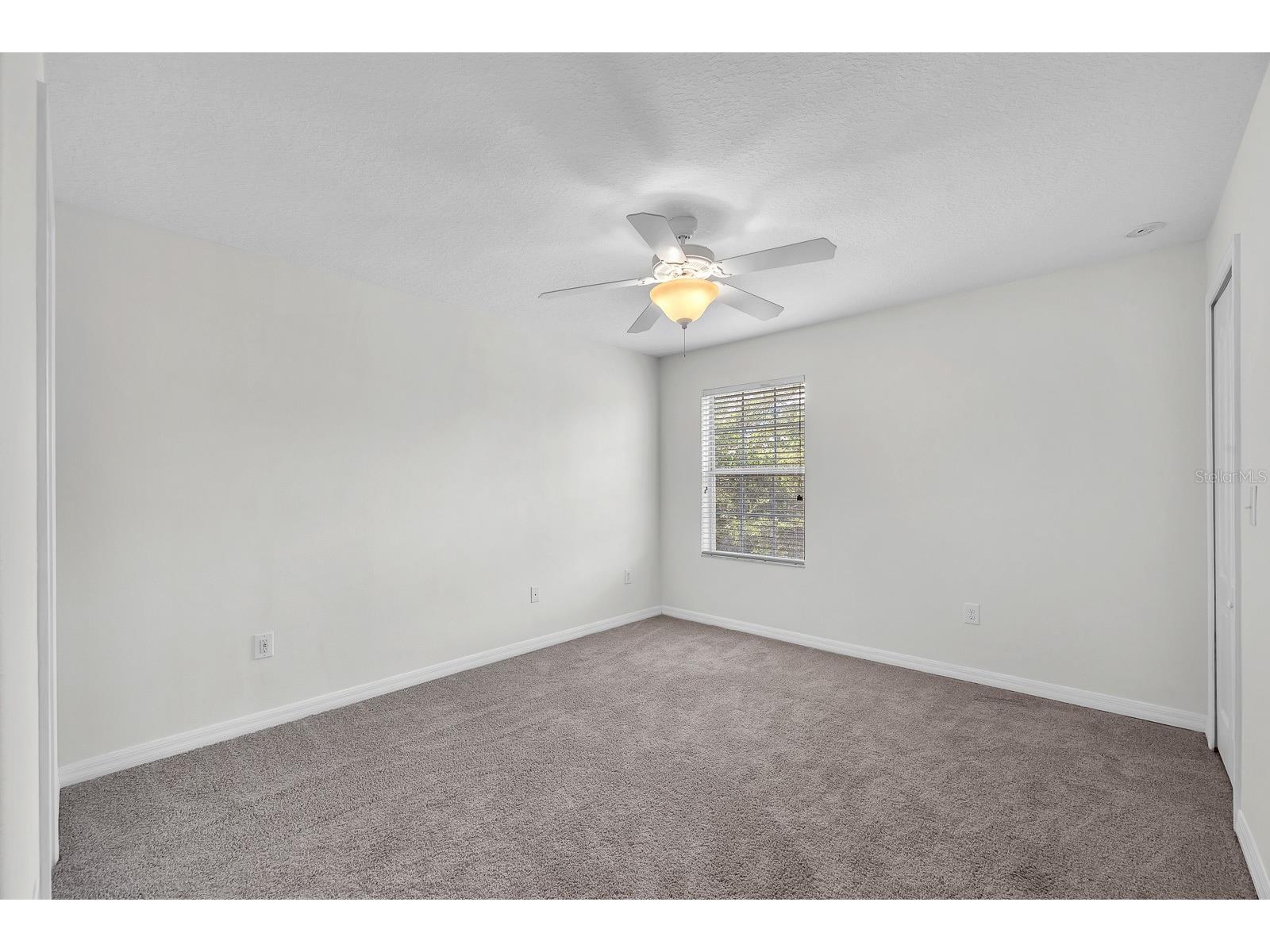 2719 Lantern Hill Avenue Brandon FL 33511 TB8516909 image10