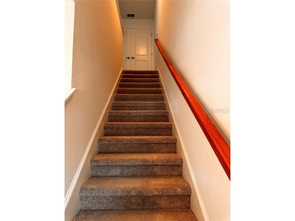 2719 Puffin Place Davenport FL 33837 S5135389 image9