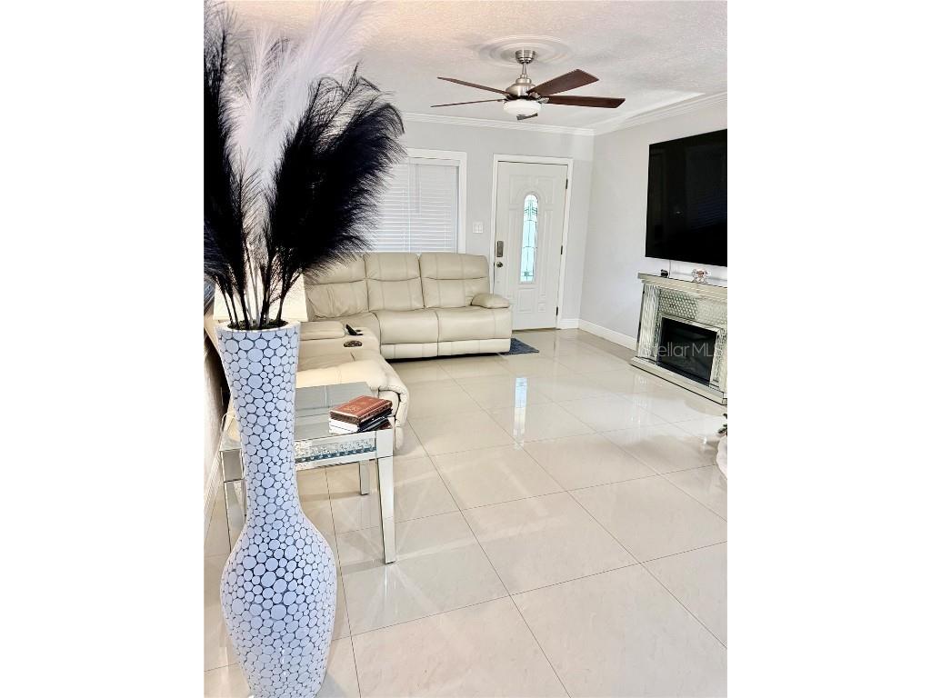 2719 W Braddock Street Tampa FL 33607 TB8448602 image2