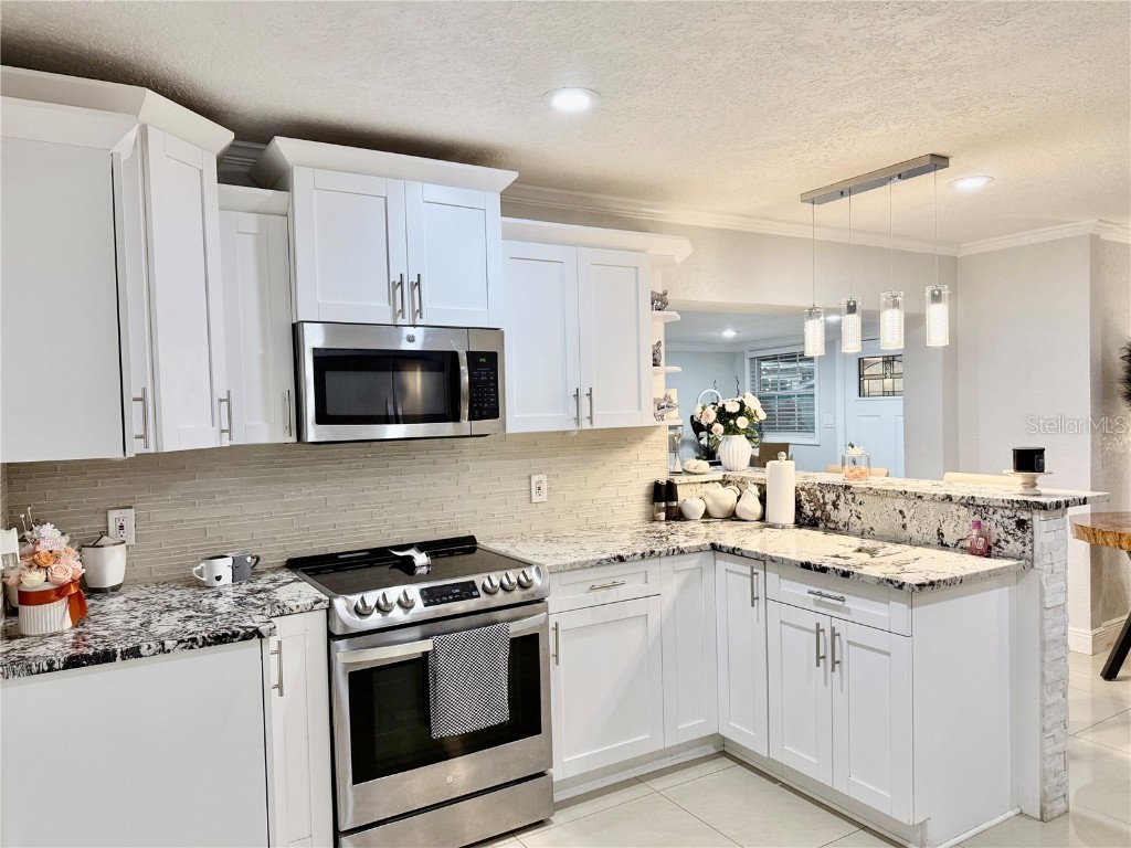 2719 W Braddock Street Tampa FL 33607 TB8448602 image7