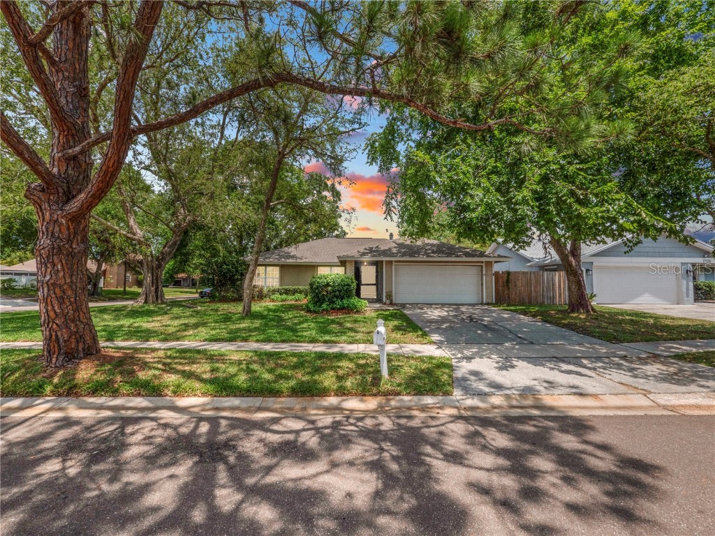 2719 Wiltshire Avenue Palm Harbor FL 34685 L4936663 image1