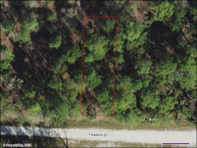 27194 Treadmill Drive Punta Gorda FL 33955 D6129077 image1