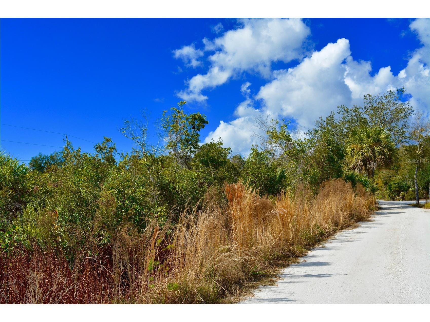 27195 Lowry Avenue Punta Gorda FL 33983 G5094878 image1