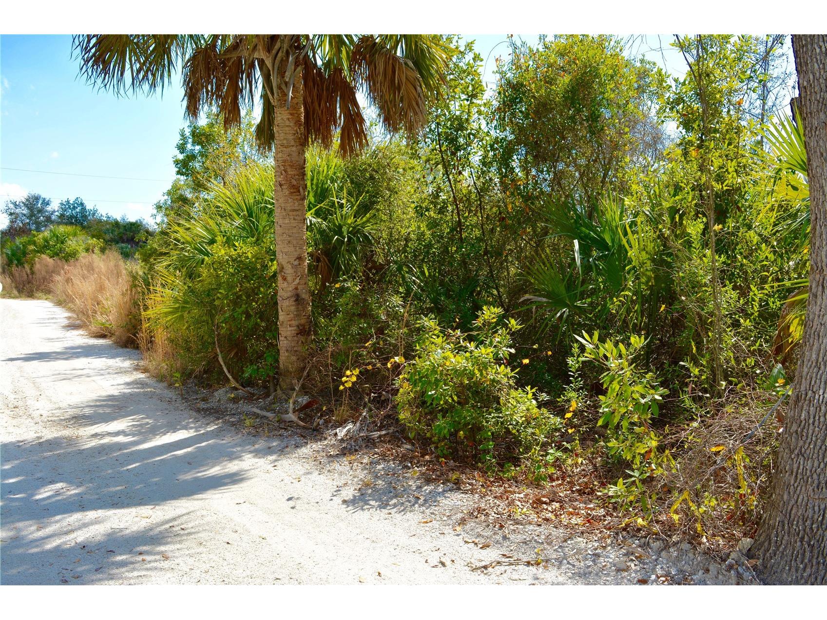 27195 Lowry Avenue Punta Gorda FL 33983 G5094878 image11