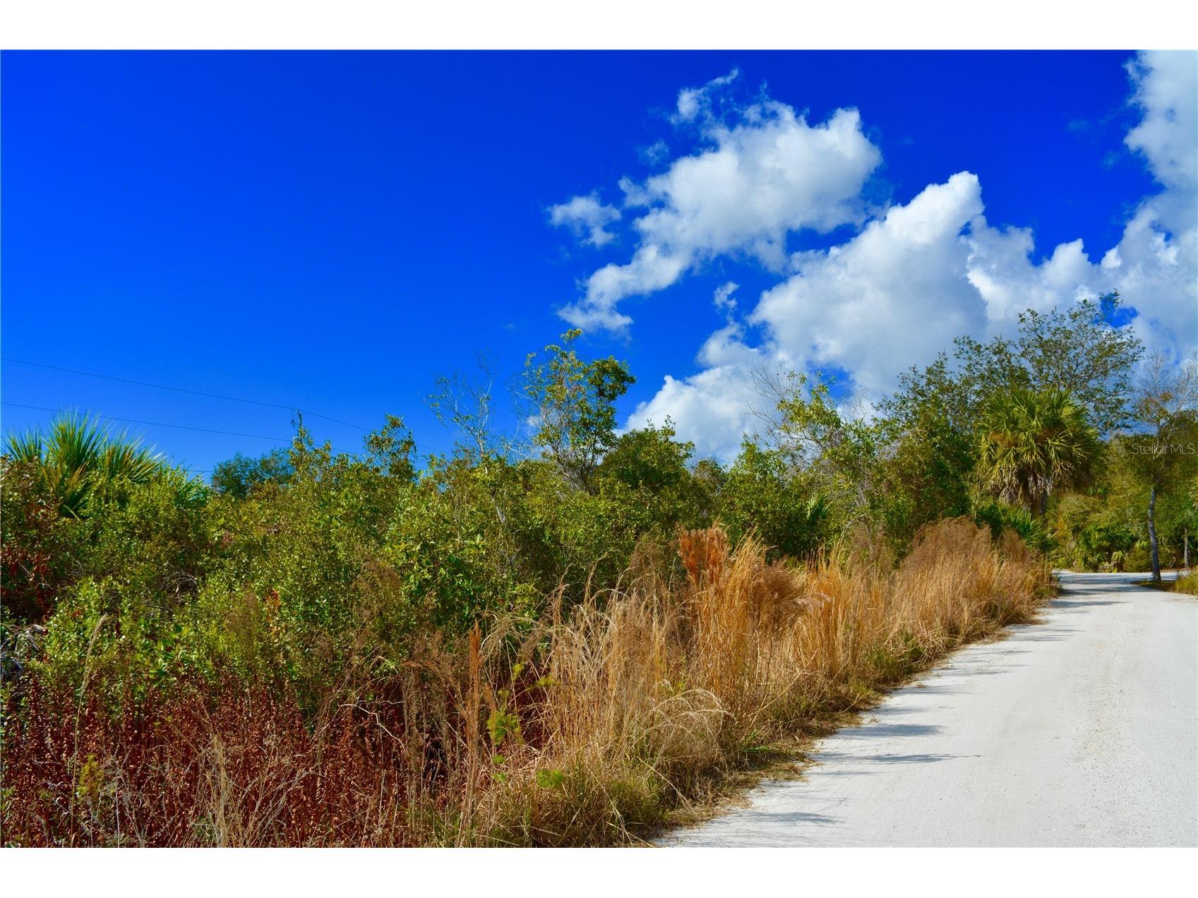 27195 Lowry Avenue Punta Gorda FL 33983 G5094878 image4