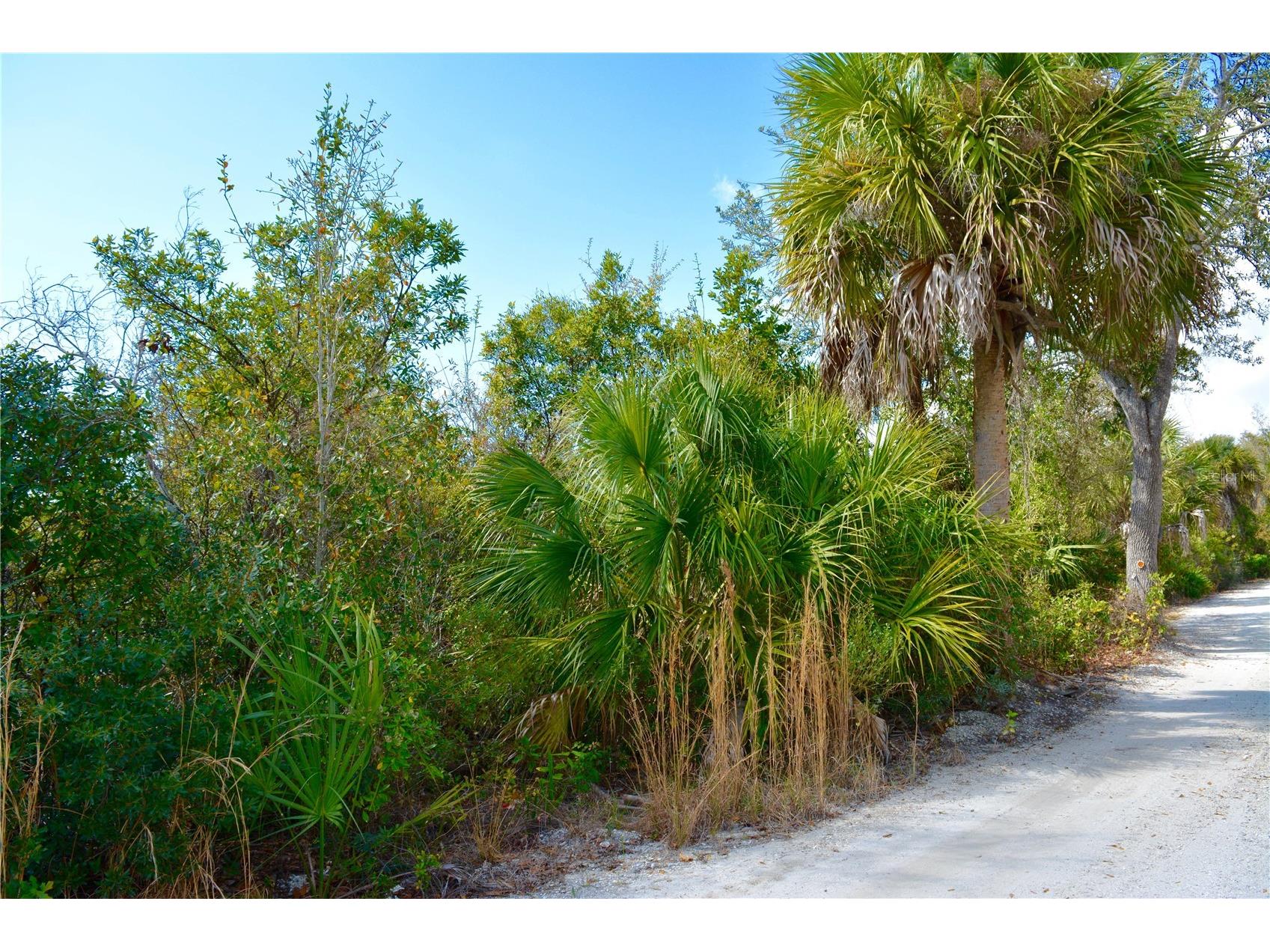 27195 Lowry Avenue Punta Gorda FL 33983 G5094878 image5