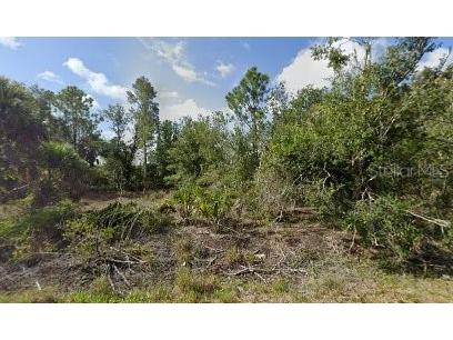 27197 Las Lomas Drive Punta Gorda FL 33955 C7486451 image1