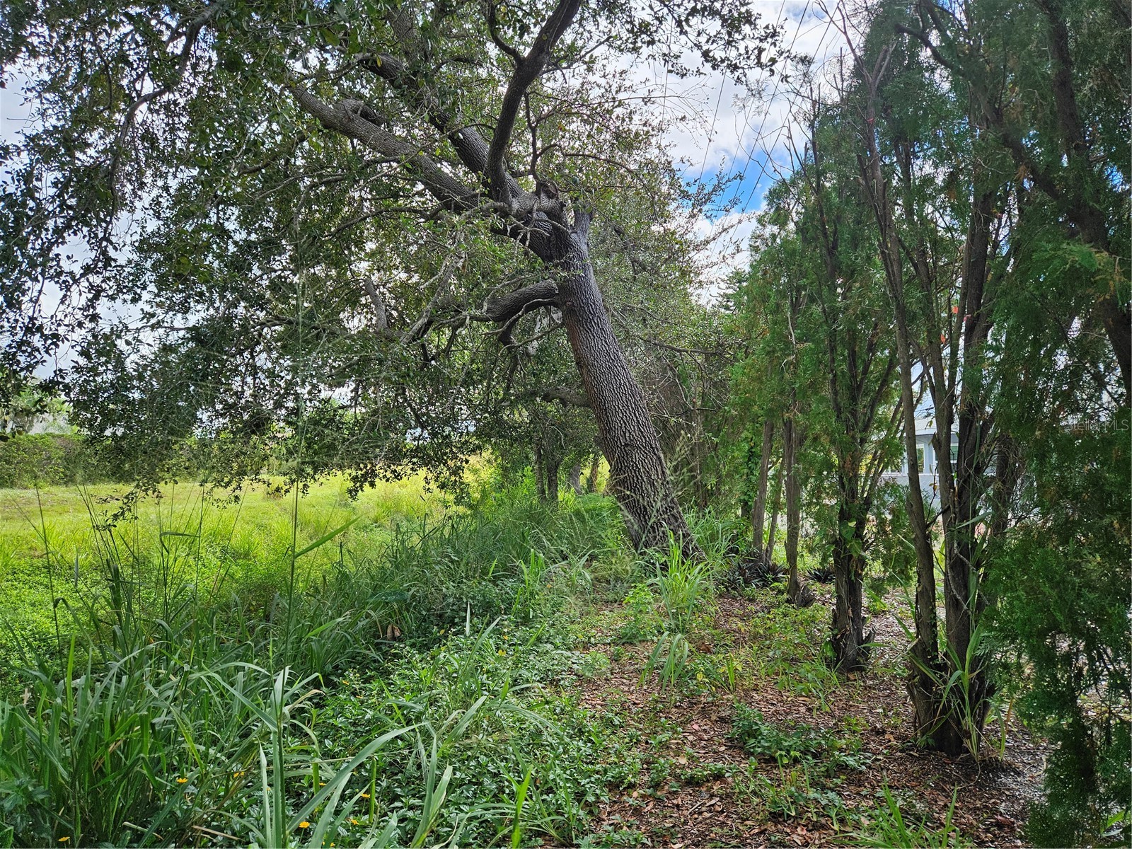 272 Malvern Drive Venice FL 34293 A4696858 image31