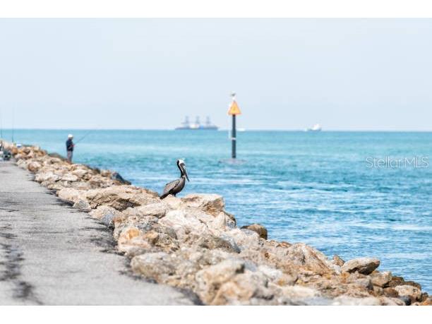 272 Malvern Drive Venice FL 34293 A4696858 image33