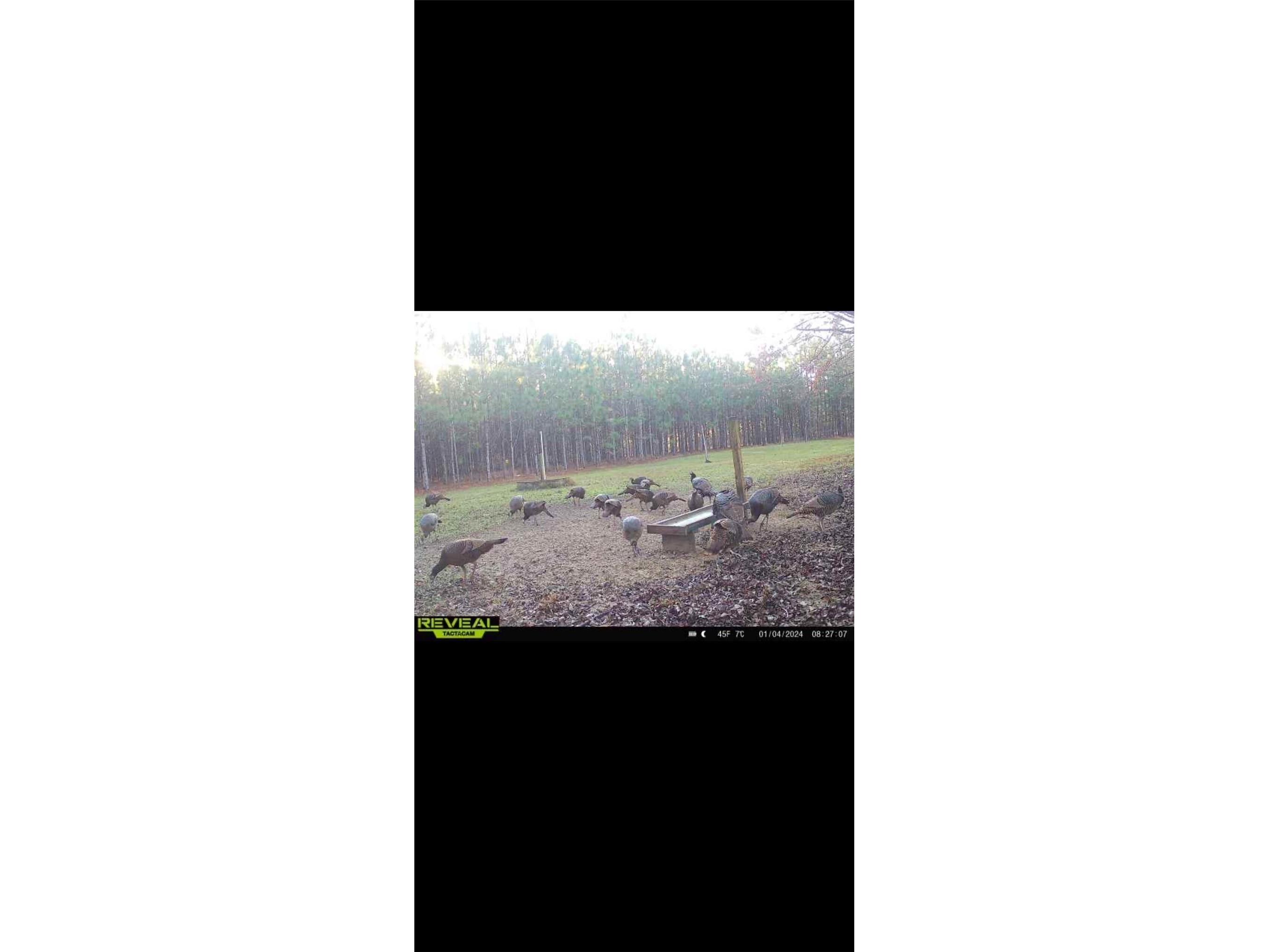 272 NE County Road 337 Trenton FL 32693 GC539755 image10