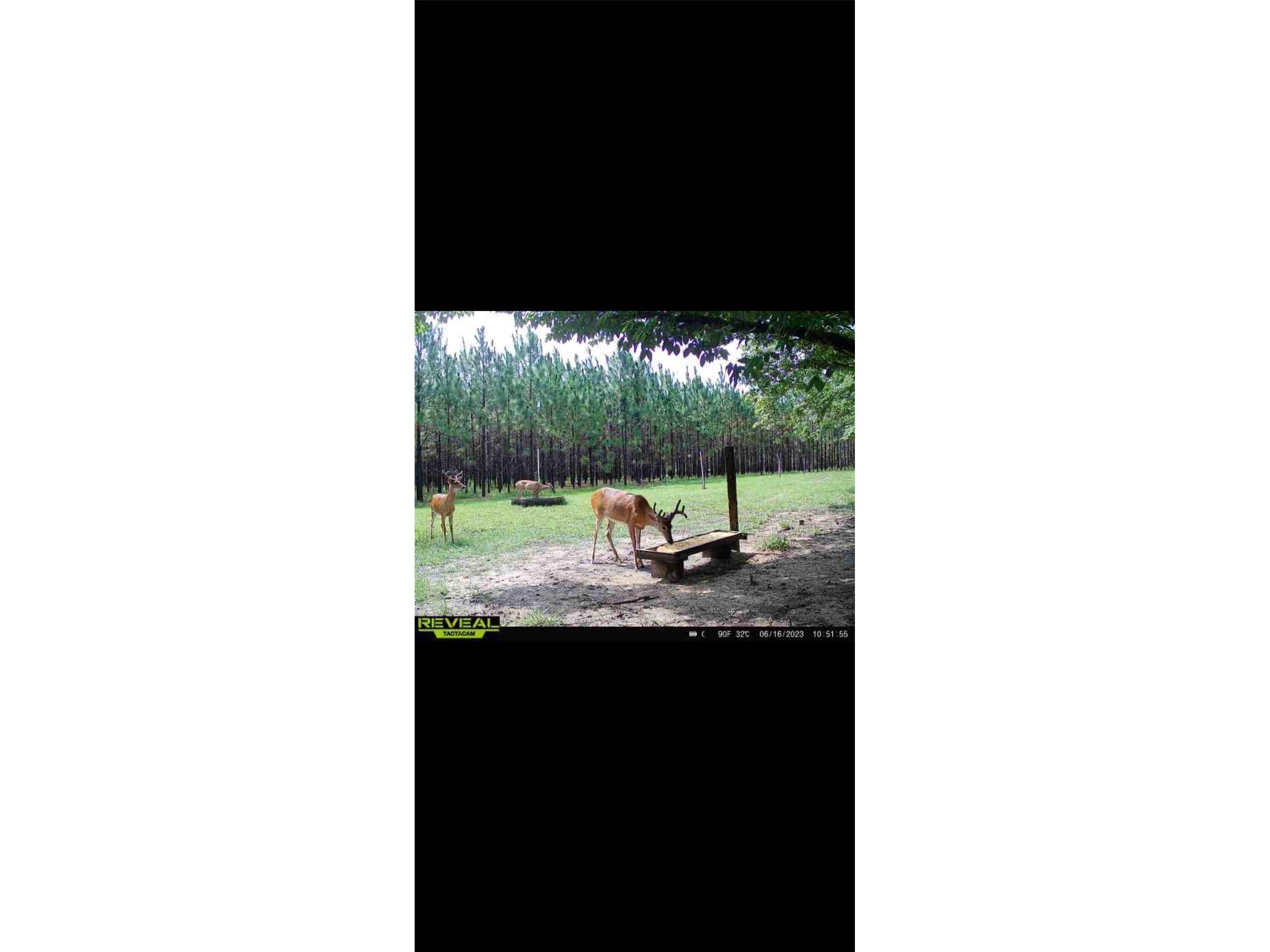 272 NE County Road 337 Trenton FL 32693 GC539755 image8