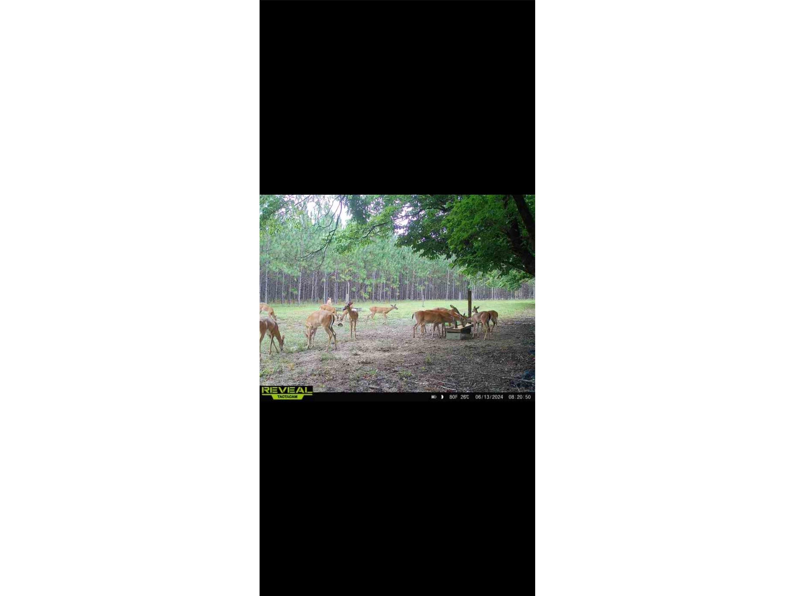 272 NE County Road 337 Trenton FL 32693 GC539755 image9