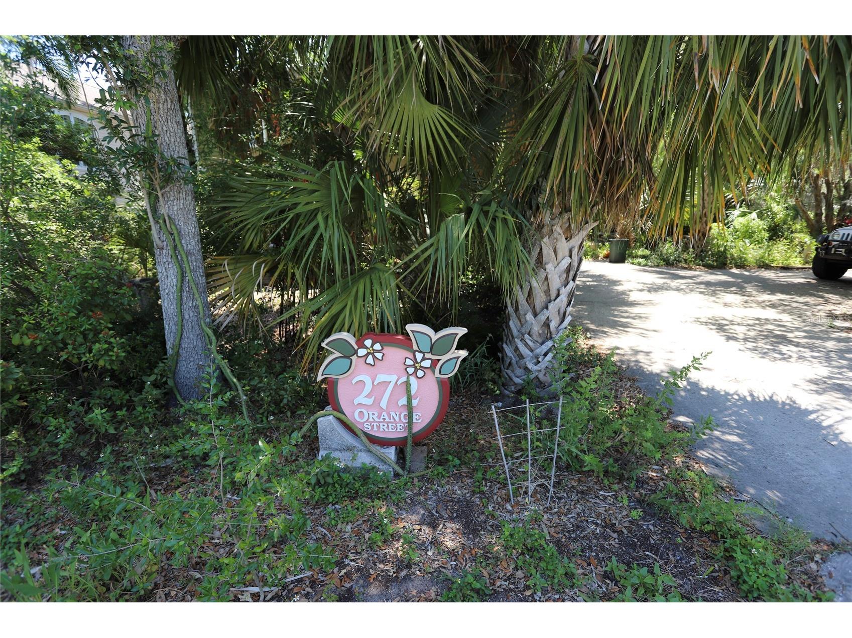 272 Orange Street #A-B Palm Harbor FL 34683 TB8392905 image27