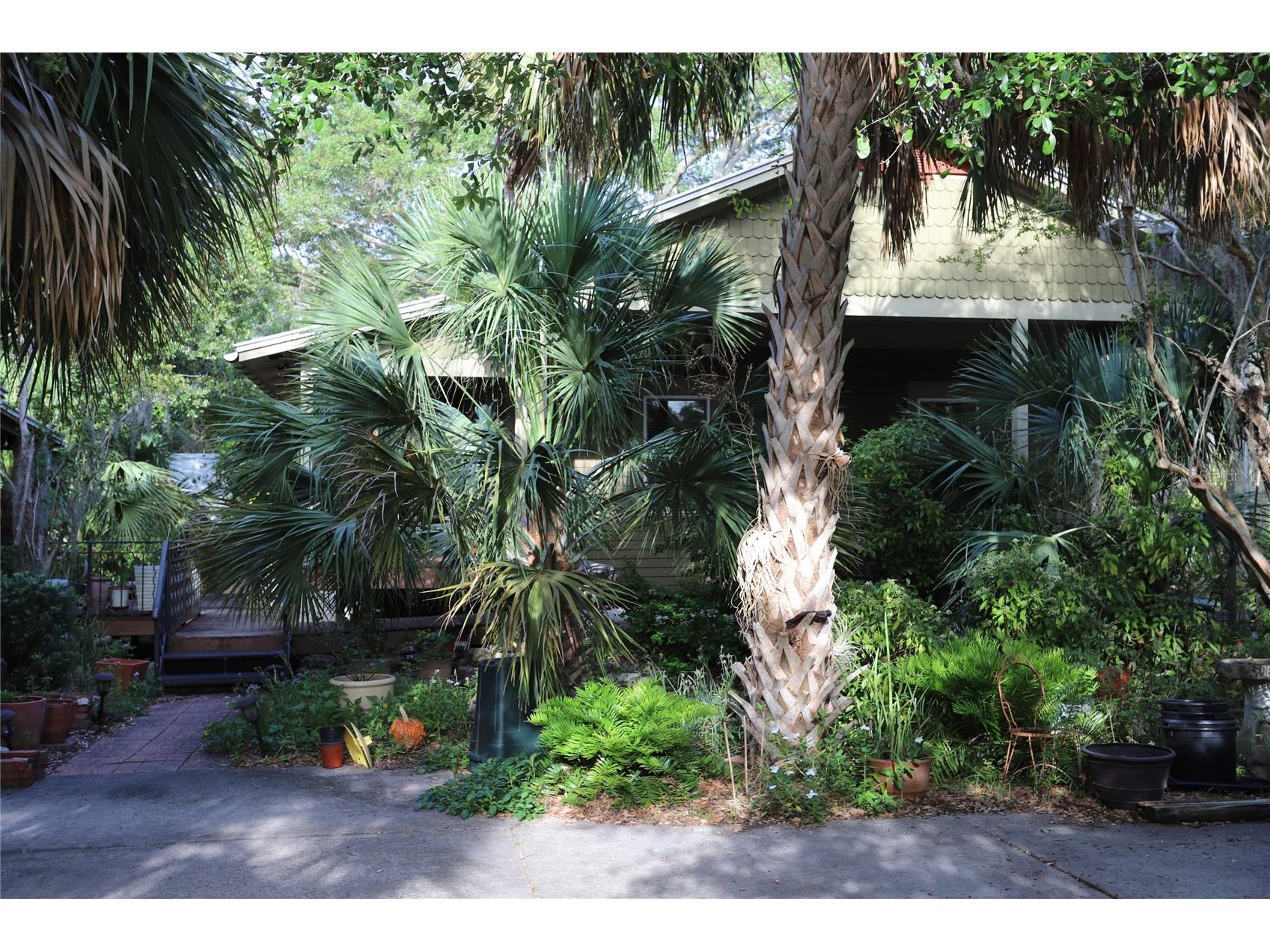 272 Orange Street #A-B Palm Harbor FL 34683 TB8392905 image28