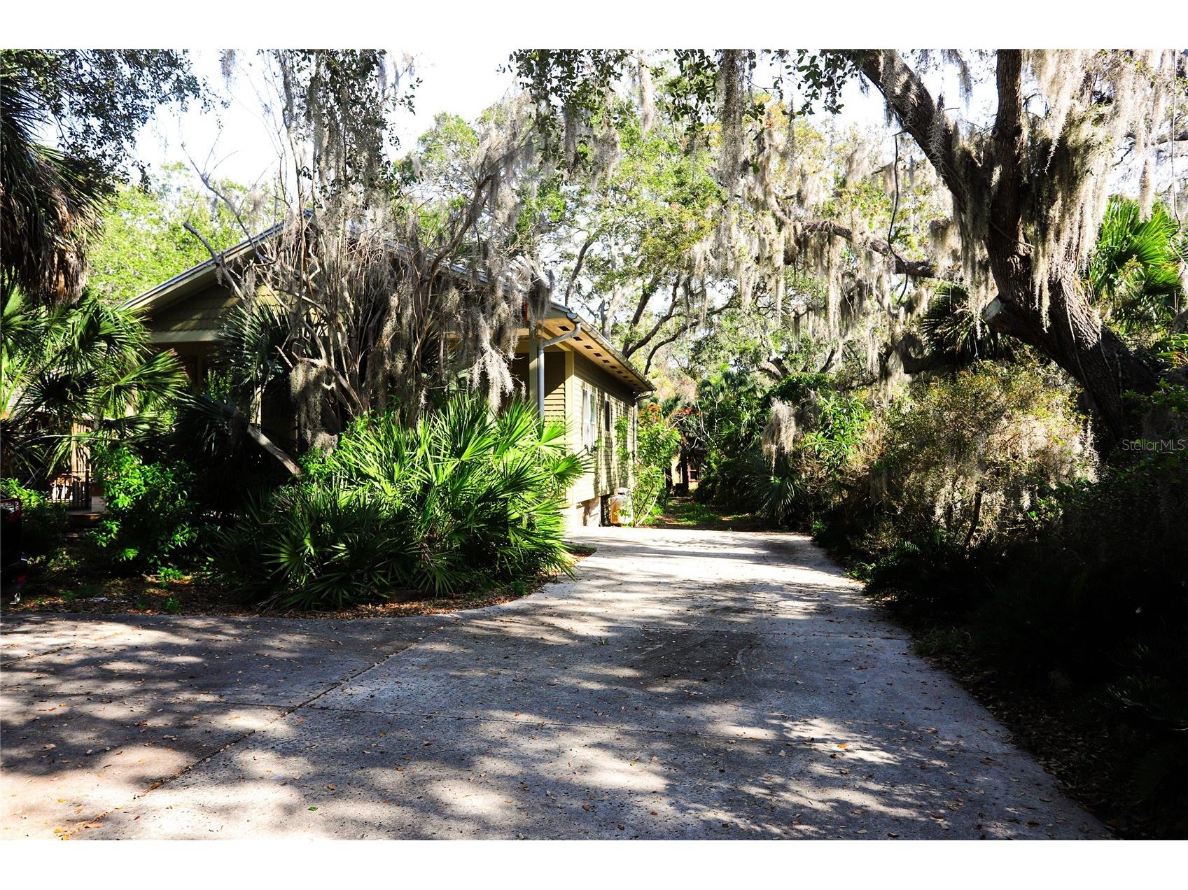 272 Orange Street #A-B Palm Harbor FL 34683 TB8392905 image29
