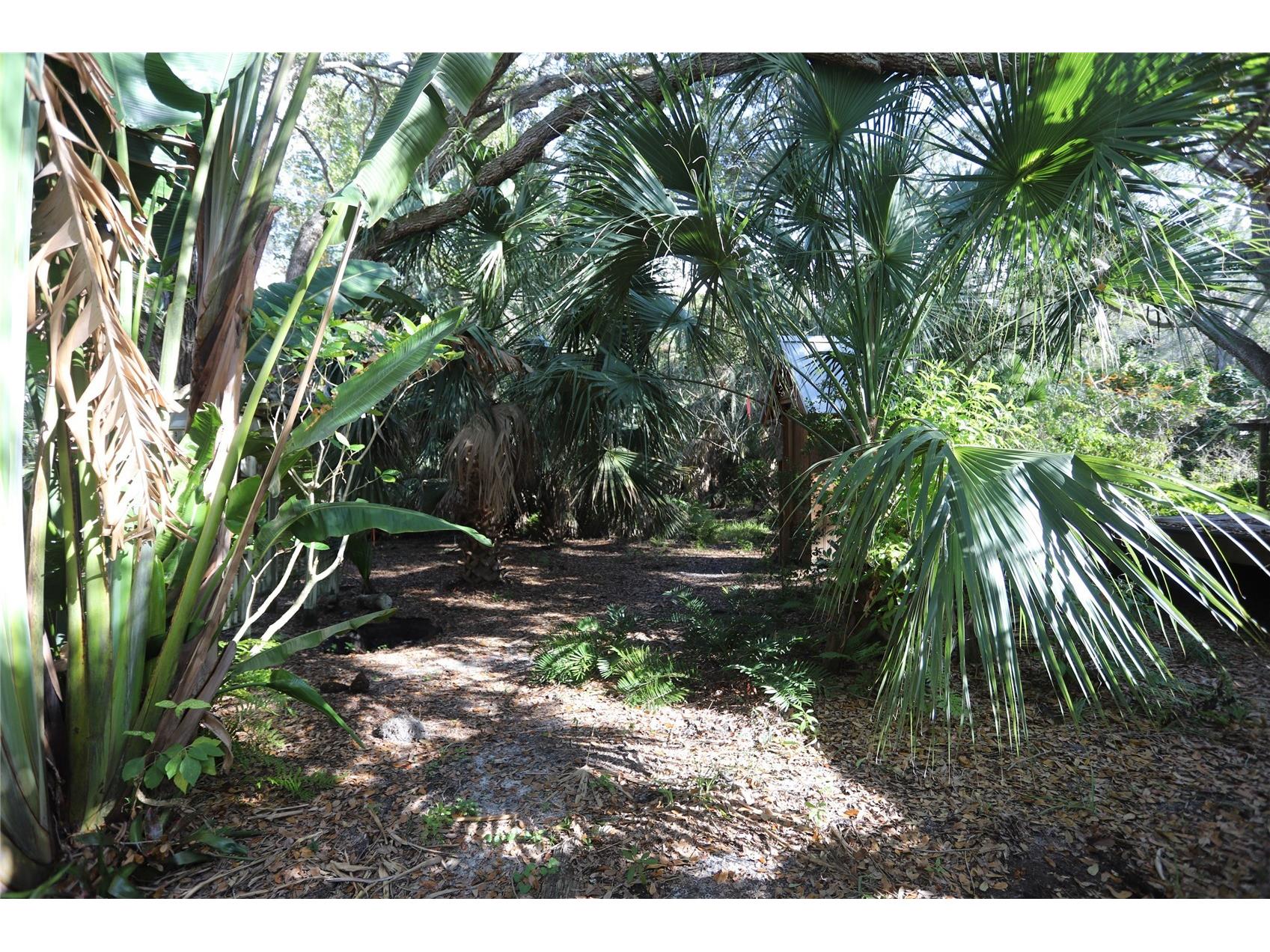 272 Orange Street #A-B Palm Harbor FL 34683 TB8392905 image47